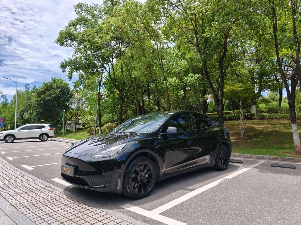 Tesla Model Y Edition, 2023 — фото 1