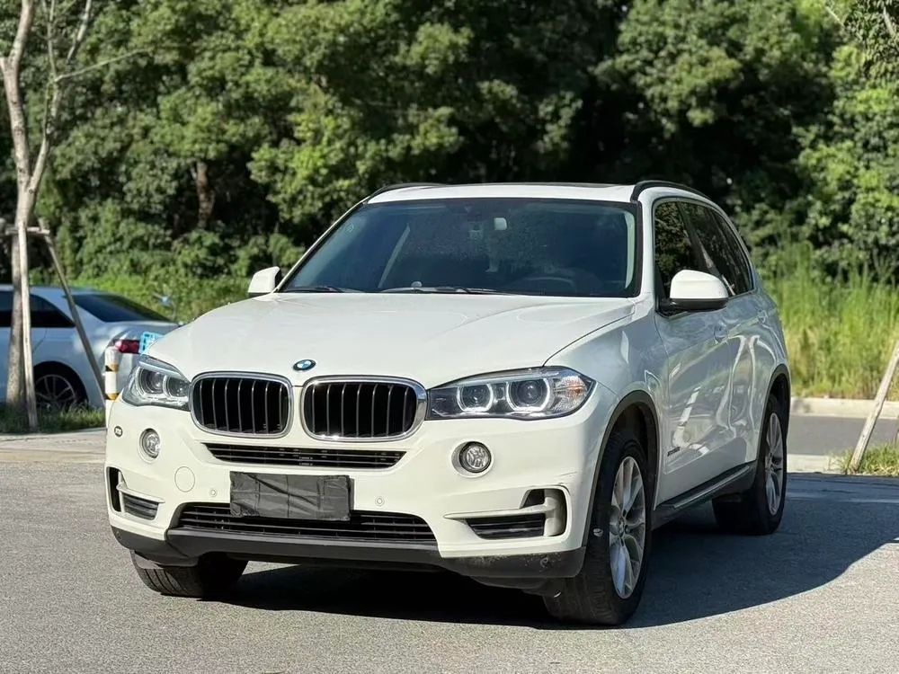 BMW X5 (Import) xDrive35i Version, 2018 — фото 1