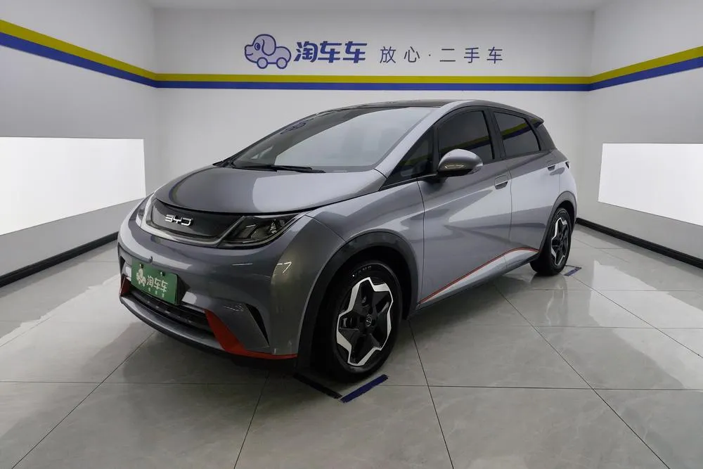 BYD Dolphin, 2021