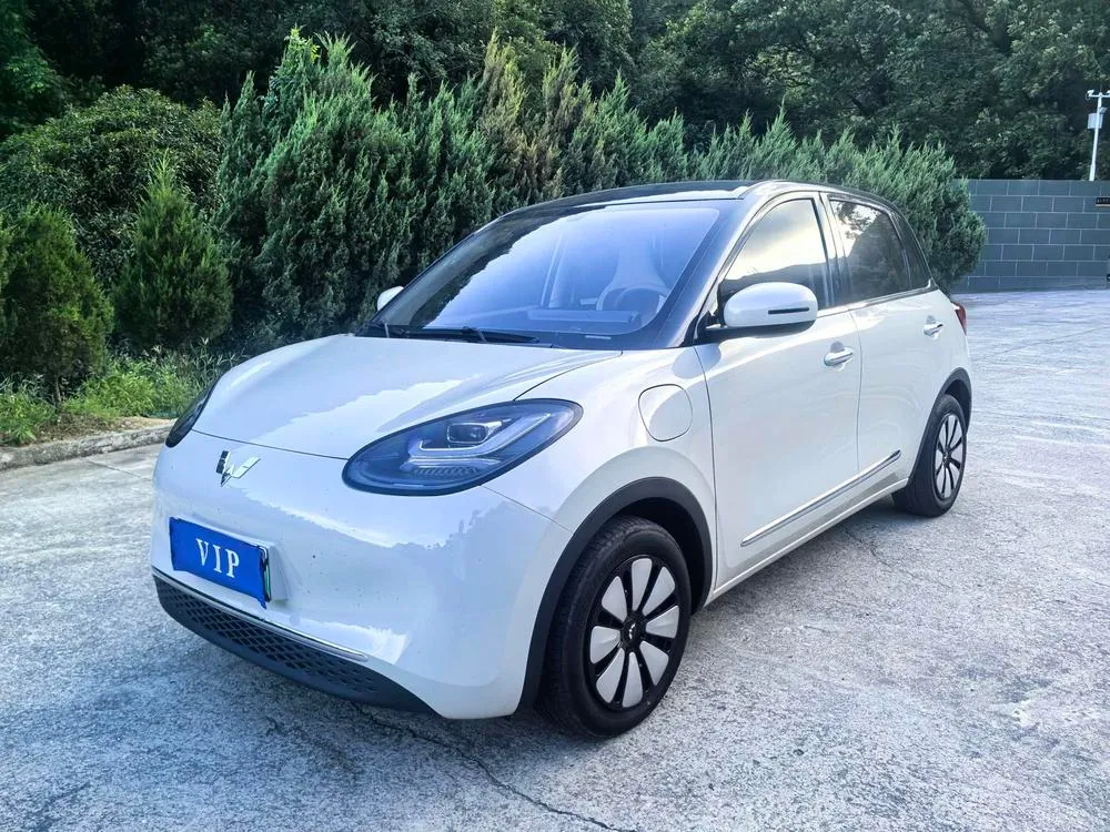 Wuling Bingo, 2025