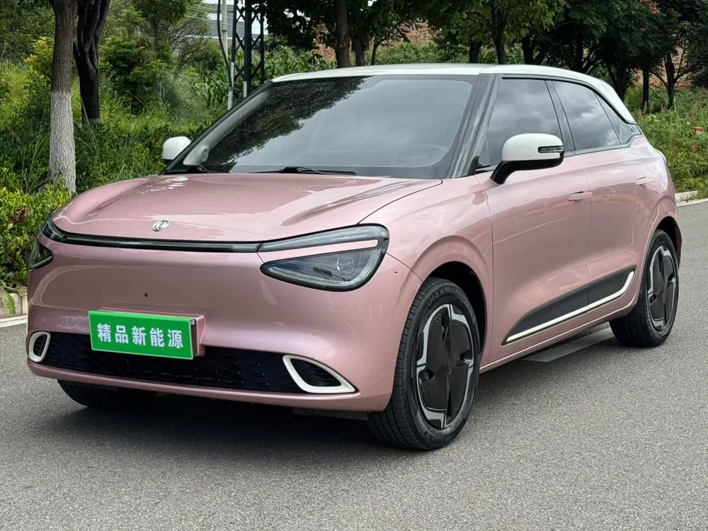 Dongfeng Yipai Nami 01, 2024