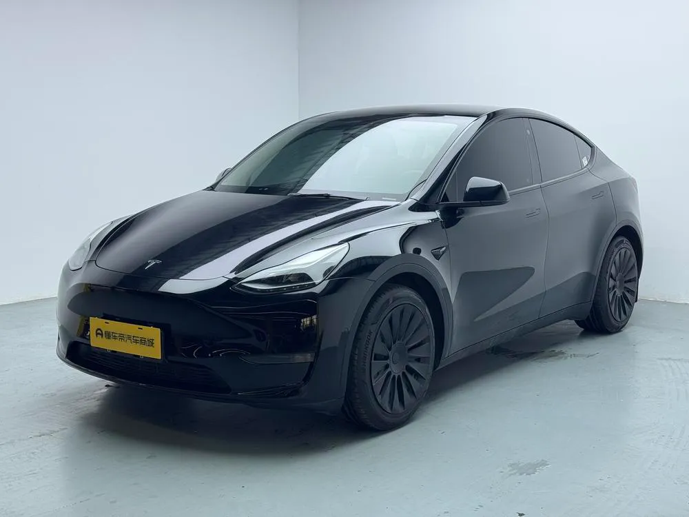 Tesla Model Y Standard Range Edition, 2021 — фото 1