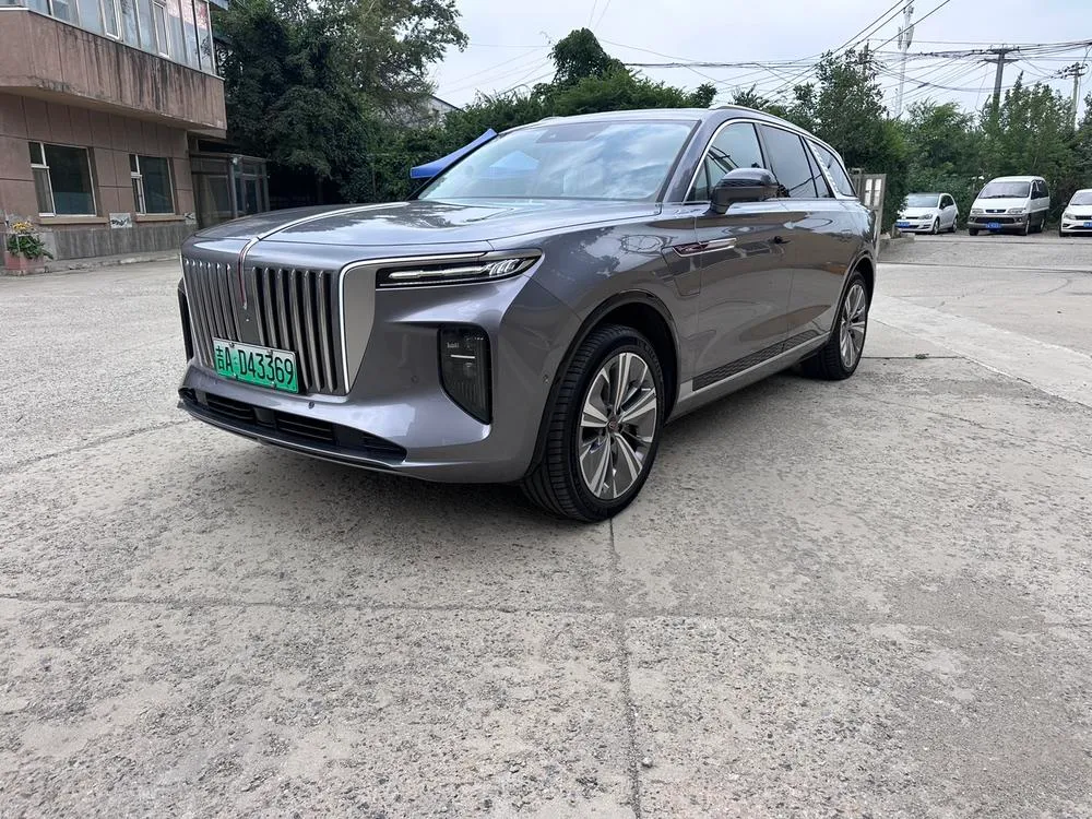 Hongqi E-HS9, 2020