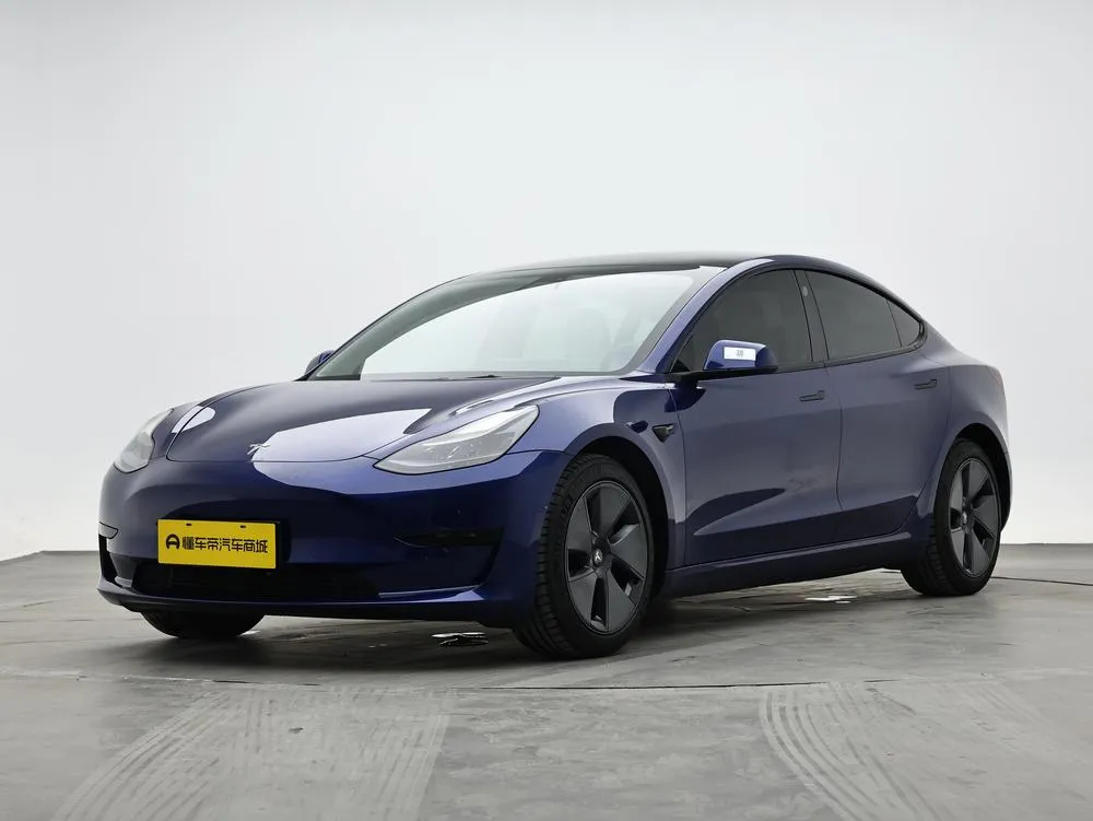 Tesla Model 3 Standard Range RWD Upgraded Edition, 2021 — фото 1