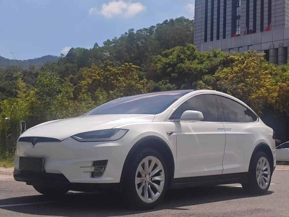 Tesla Model X 75D, 2016 — фото 1