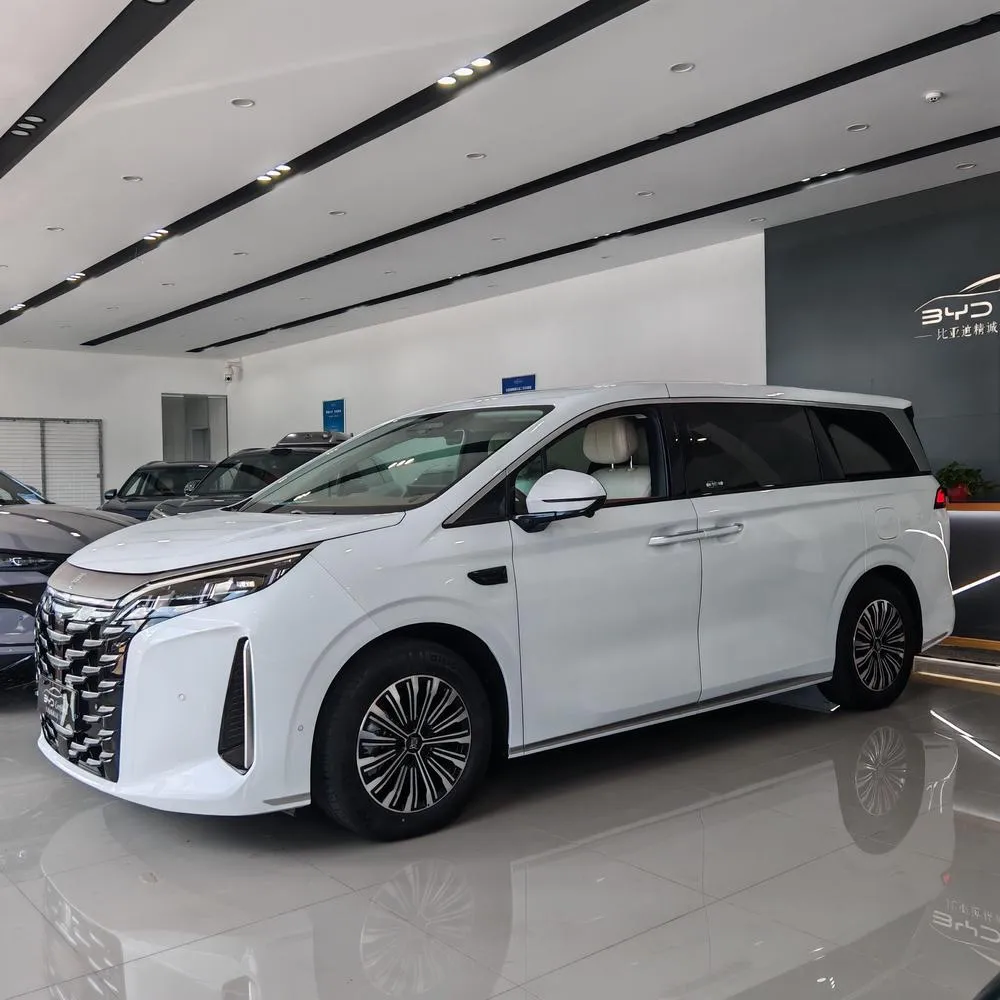 BYD Xia, 2025