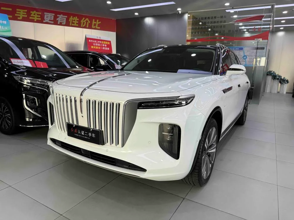 Hongqi E-HS9, 2020