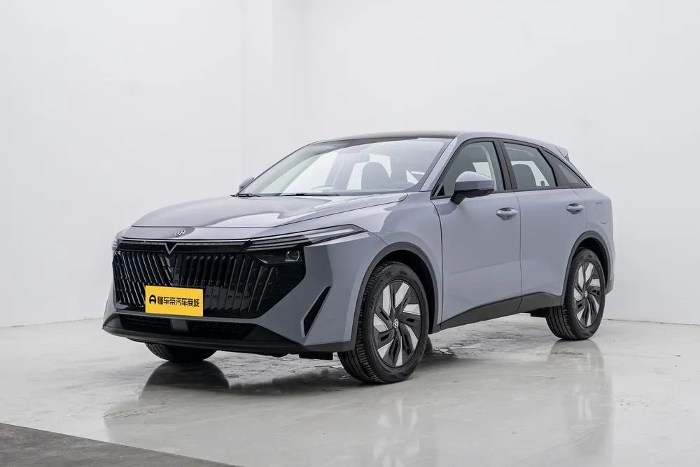 Venucia Big V DD-i 110KM iE Edition, 2023 — фото 1