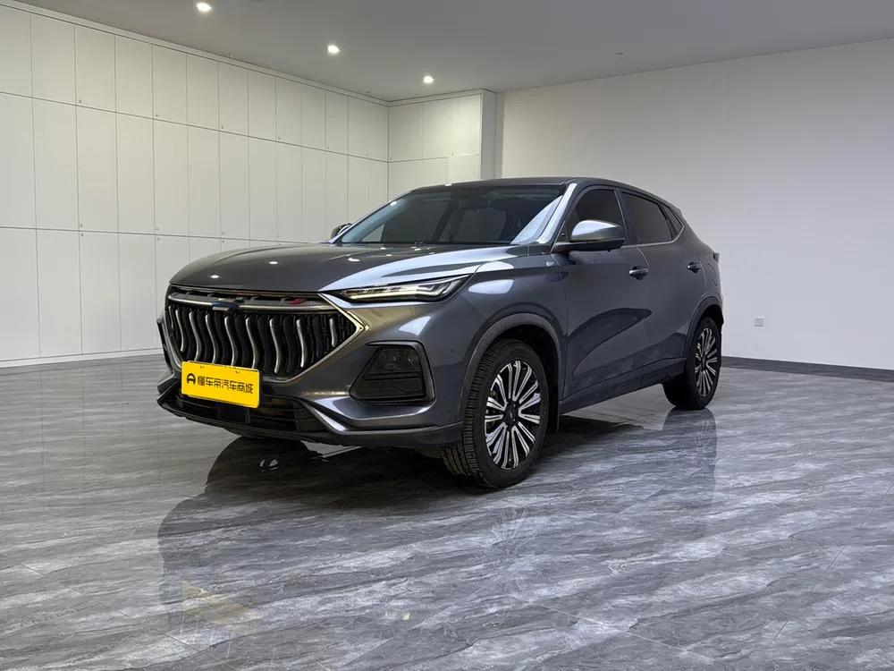 Changan Oshan X5, 2021