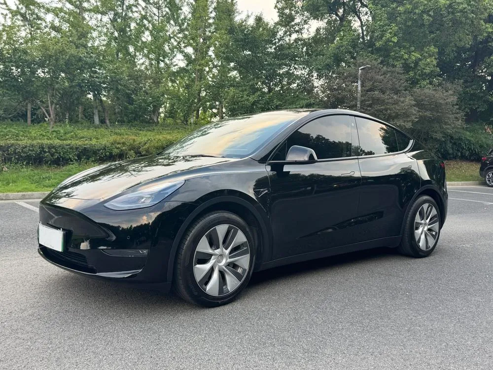 Tesla Model Y Standard Range Edition, 2021 — фото 1