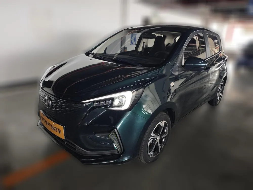 Changan Oshan Benni E-Star, 2020