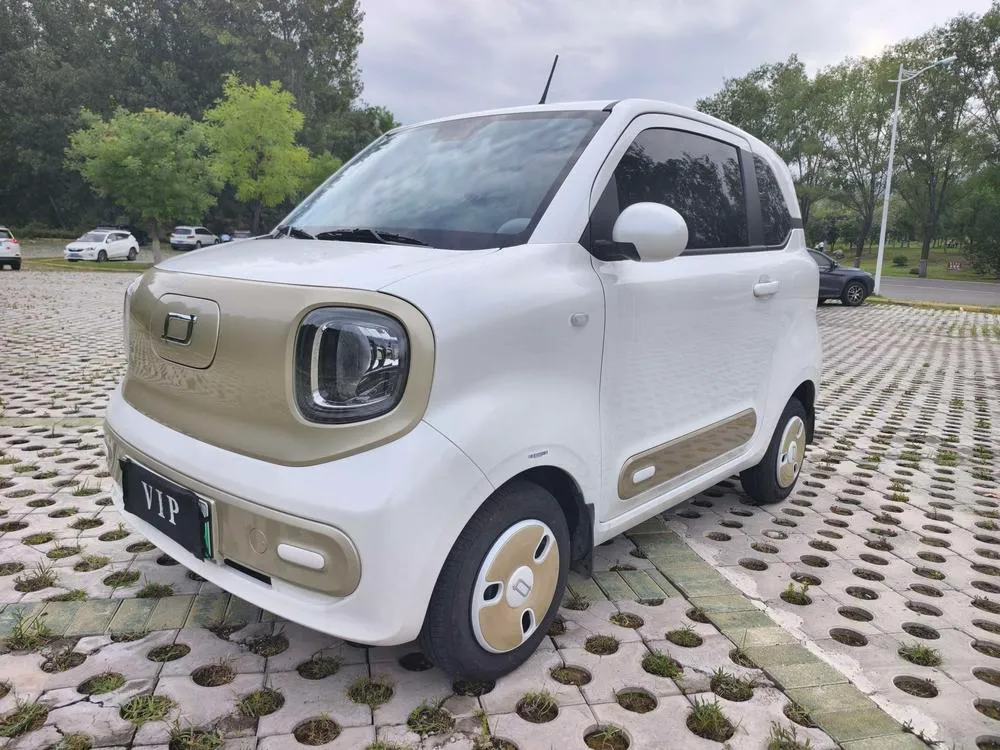 Besturn Bestune Pony, 2024