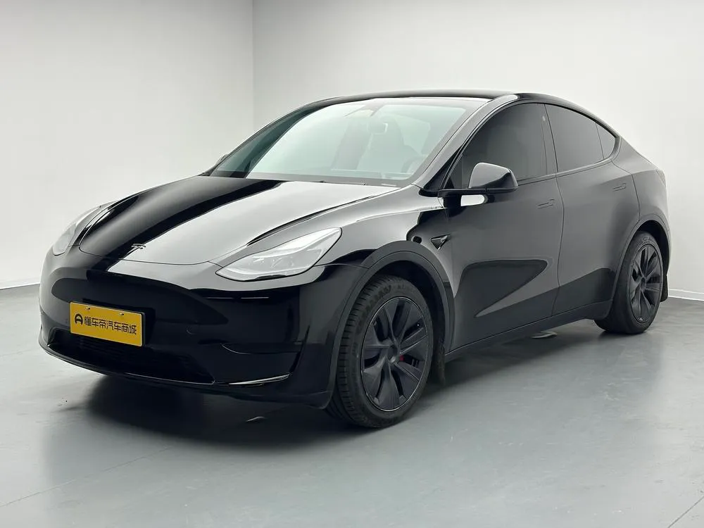 Tesla Model Y Edition, 2023 — фото 1