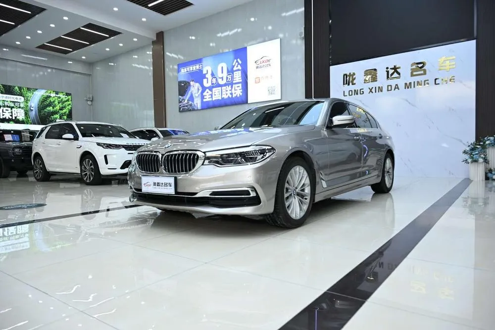 BMW 5-Series 530Li Leading Version Luxury, 2020 — фото 1
