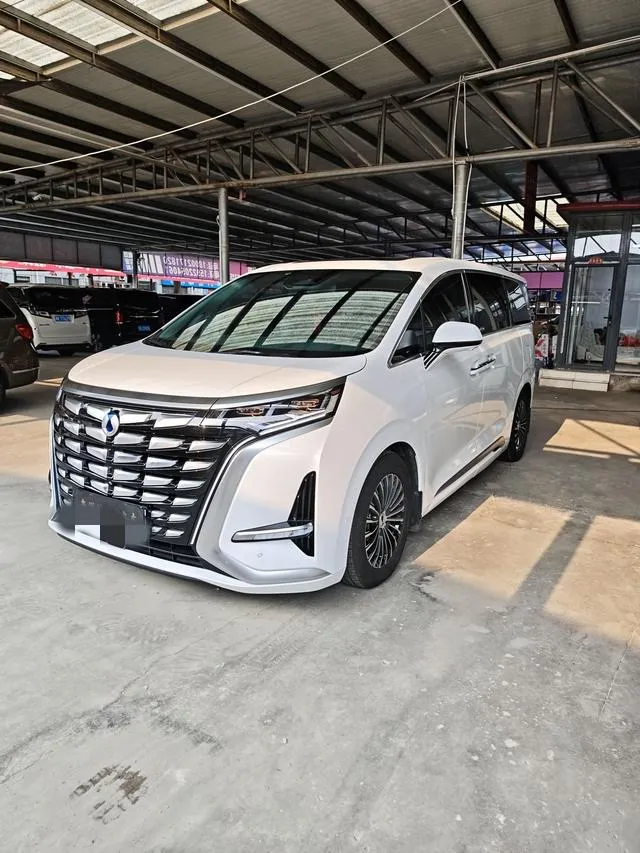 Denza D9 DM, 2022