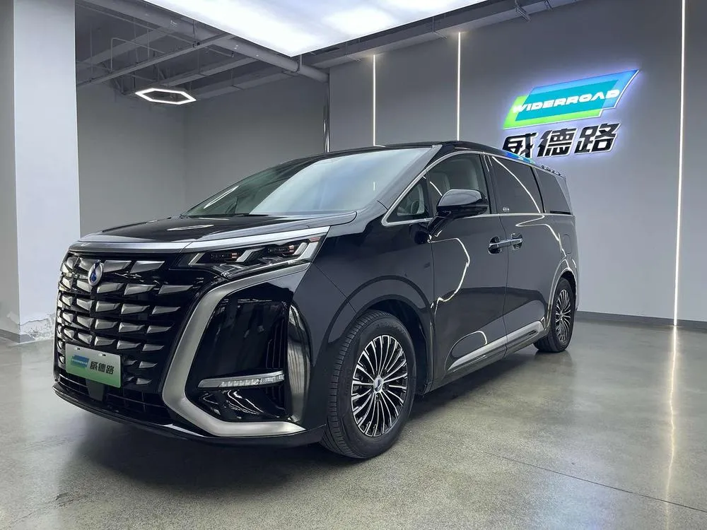 Denza D9 DM, 2022