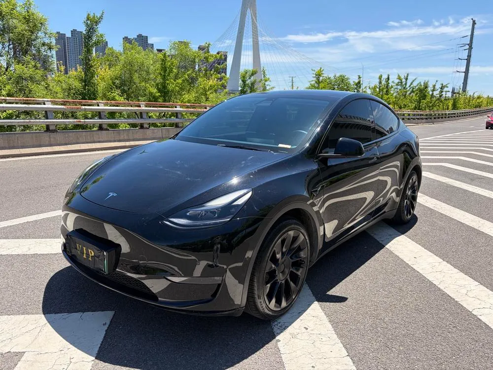 Tesla Model Y, 2021