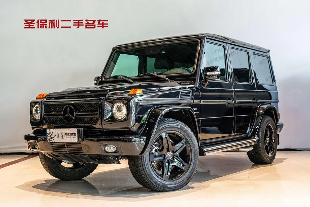 Mercedes-Benz G-Class, 2009