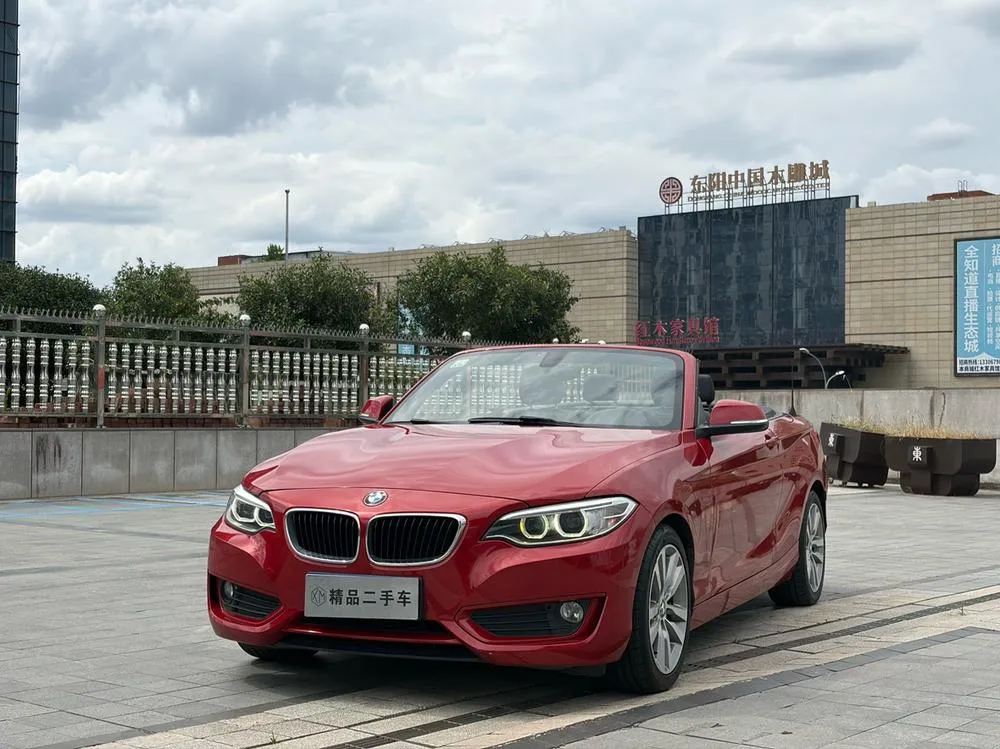 BMW 2-Series (Import), 2015
