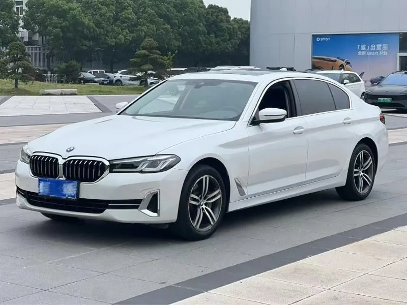 BMW 5-Series 530Li Leading Version Luxury, 2023 — фото 1