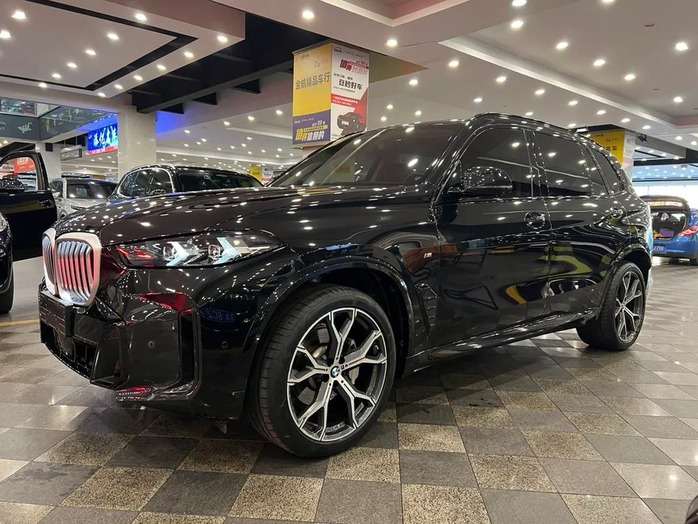 BMW X5 xDrive30Li M Sport, 2023 — фото 1