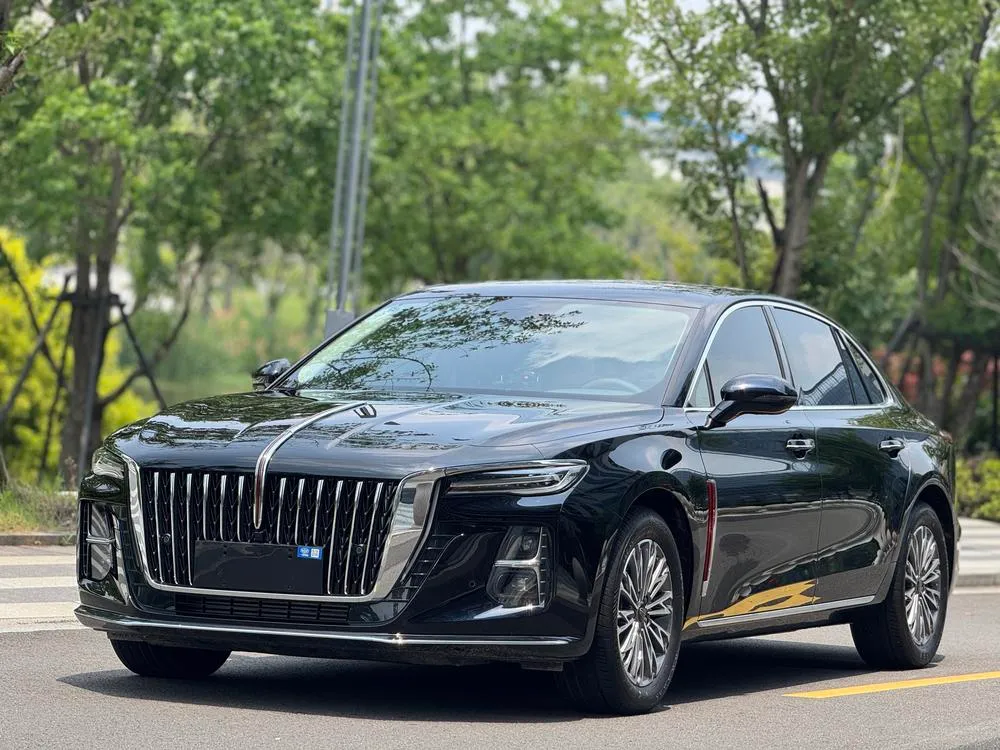Hongqi H5, 2024