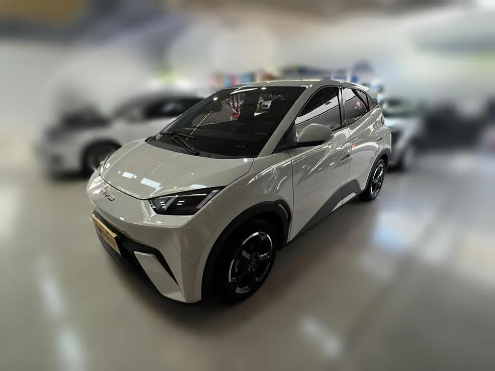 BYD Seagull, 2023