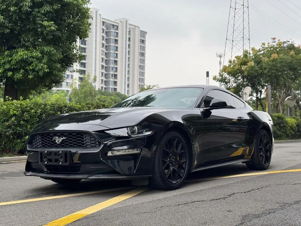 Ford Mustang, 2019