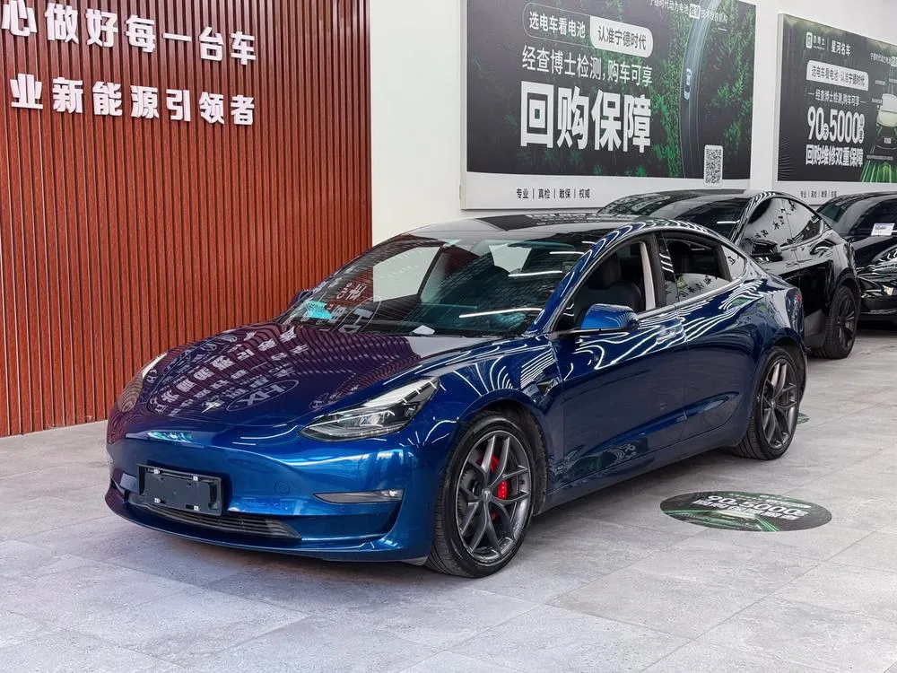 Tesla Model 3 Performance High Performance AWD Edition, 2021 — фото 1