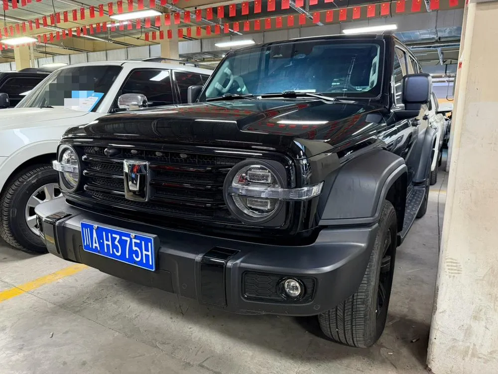 Tank 300, 2024