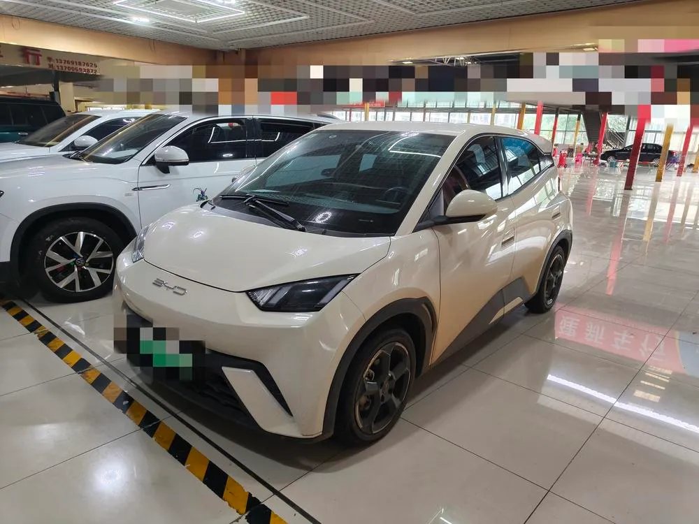 BYD Seagull, 2024