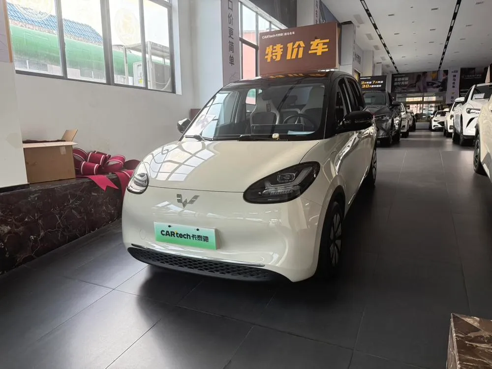 Wuling Bingo, 2024