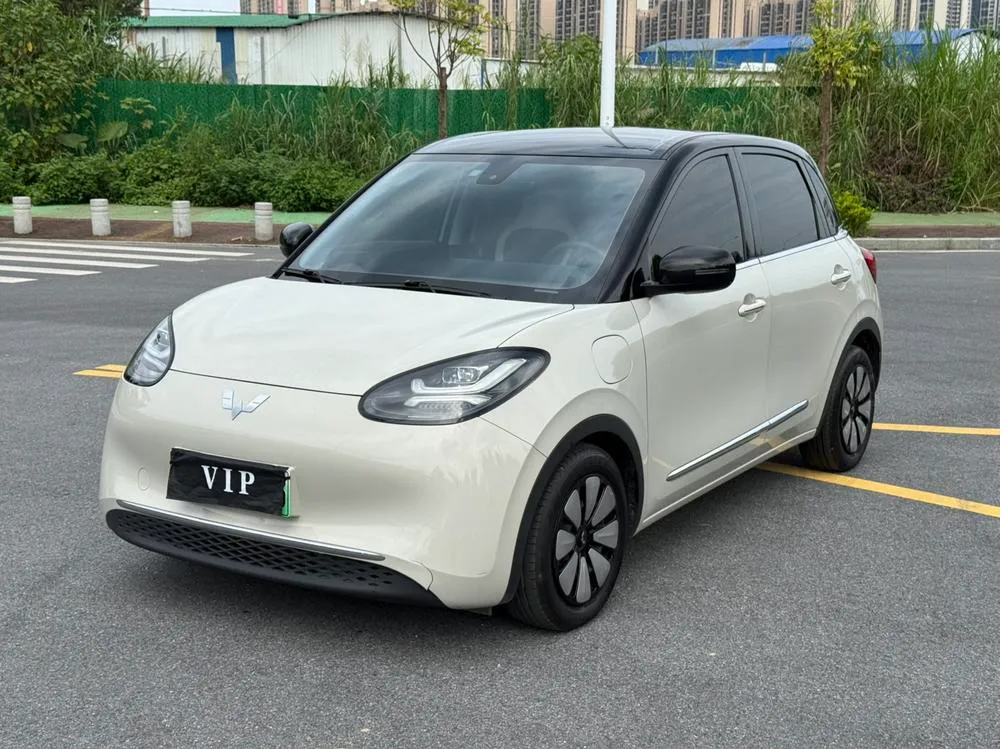 Wuling Bingo, 2023