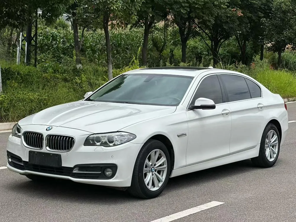 BMW 5-Series 520Li Version, 2014 — фото 1