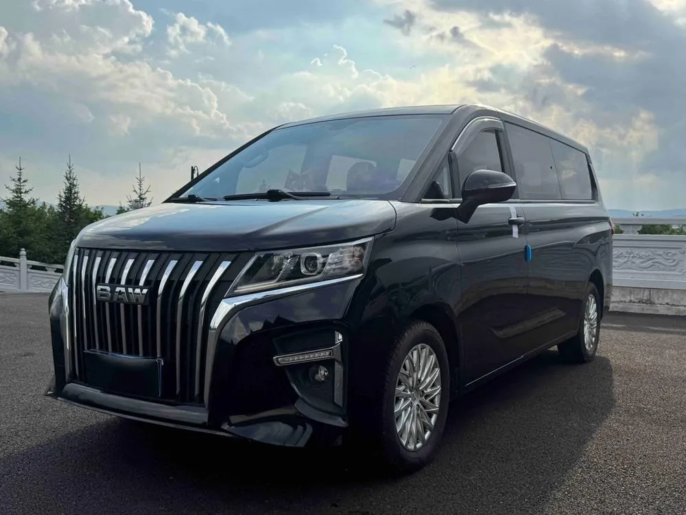 BAW Ruisheng Wangpai M7, 2023