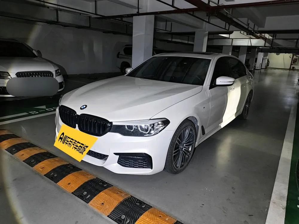 BMW 5-Series 530Li Leading Version M Sport, 2019 — фото 1