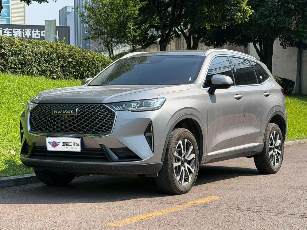 Haval H6, 2024