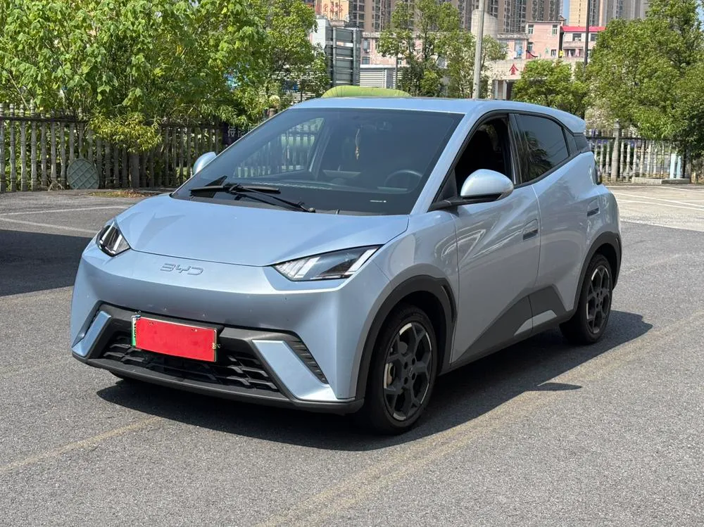 BYD Seagull, 2023