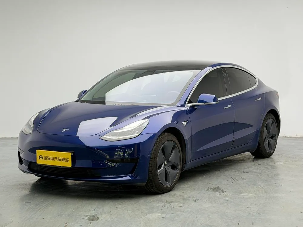 Tesla Model 3 Standard Range RWD Upgraded Edition, 2020 — фото 1