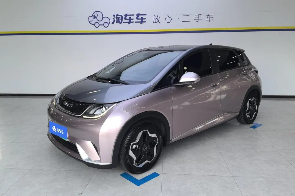 BYD Dolphin, 2021