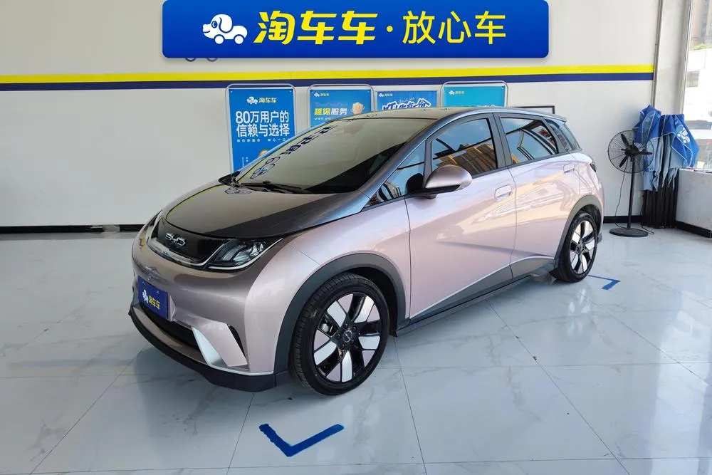 BYD Dolphin, 2021