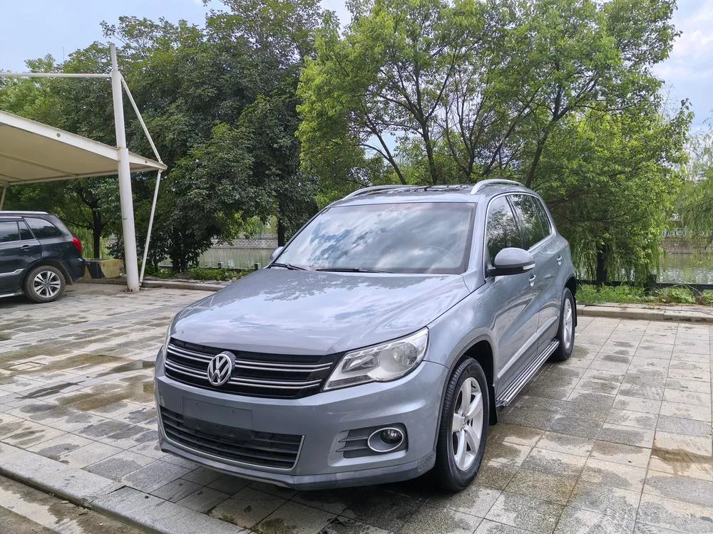 Volkswagen Tiguan 1.8TSI Auto 4WD Edition, 2010 — фото 1