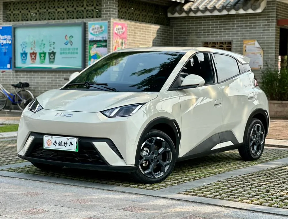 BYD Seagull, 2024