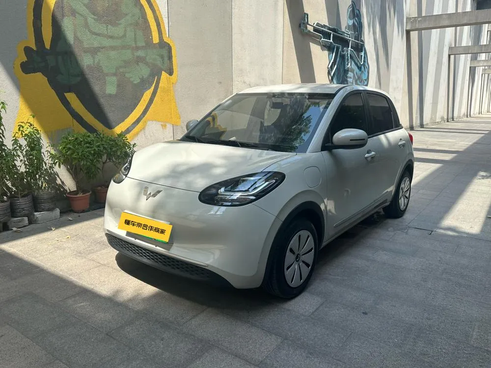 Wuling Bingo, 2024