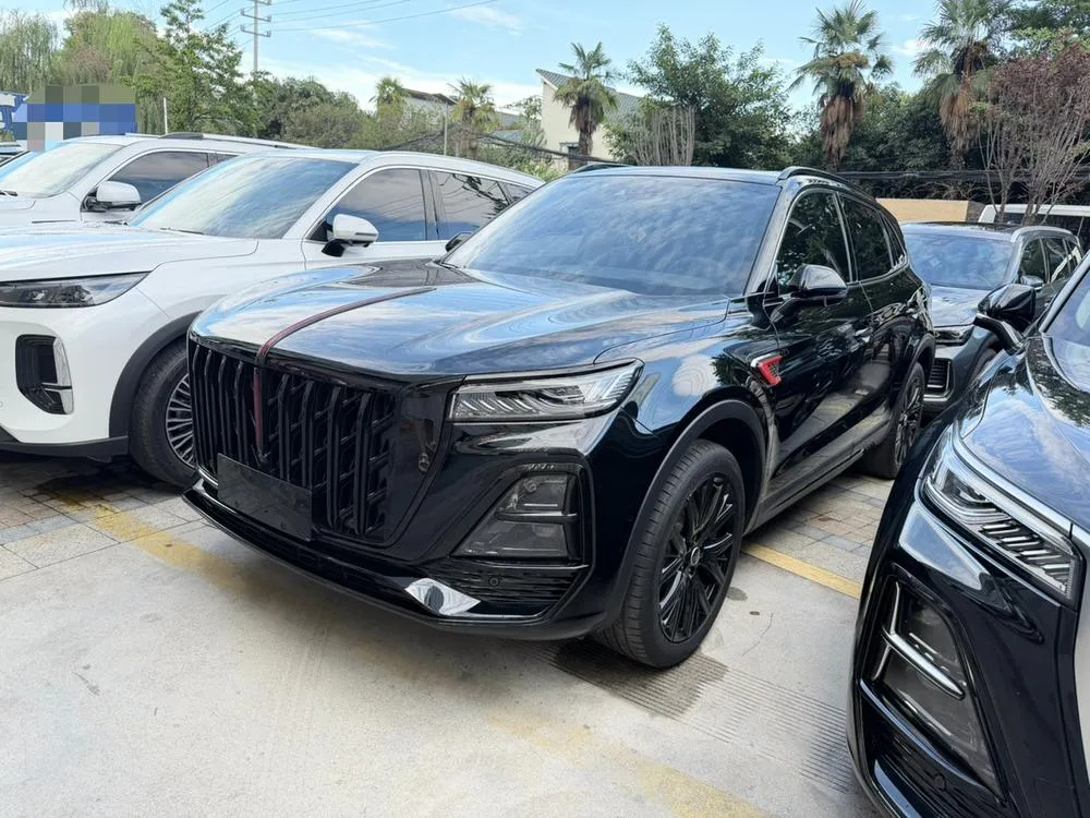 Hongqi HS5, 2025