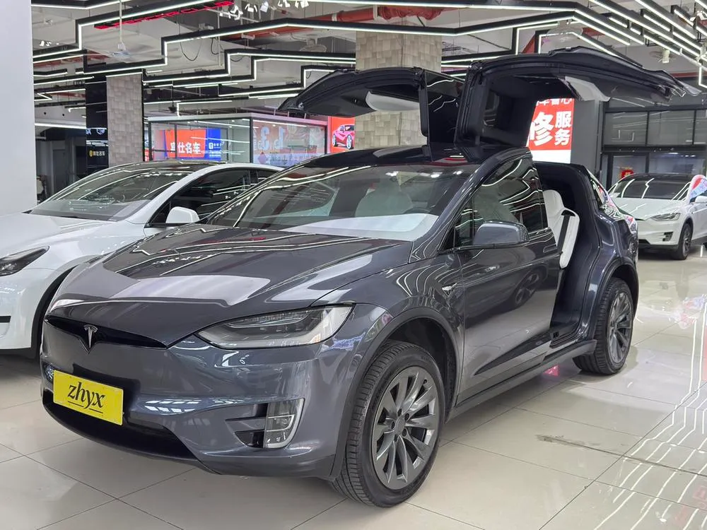 Tesla Model X Long Range Edition, 2019 — фото 1