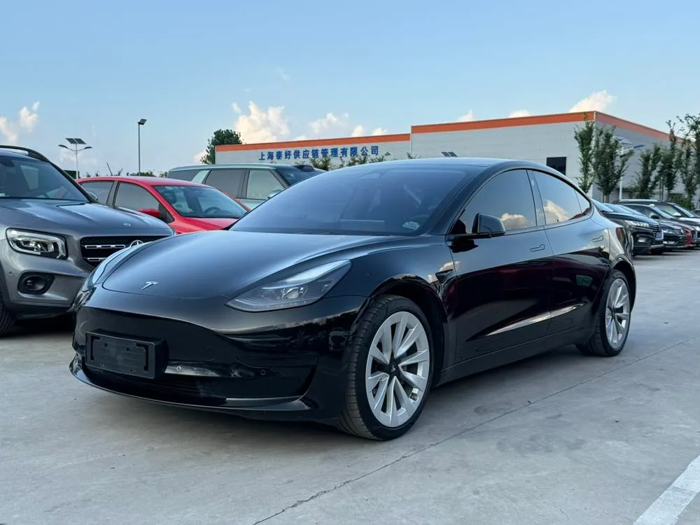 Tesla Model 3 Edition, 2022 — фото 1
