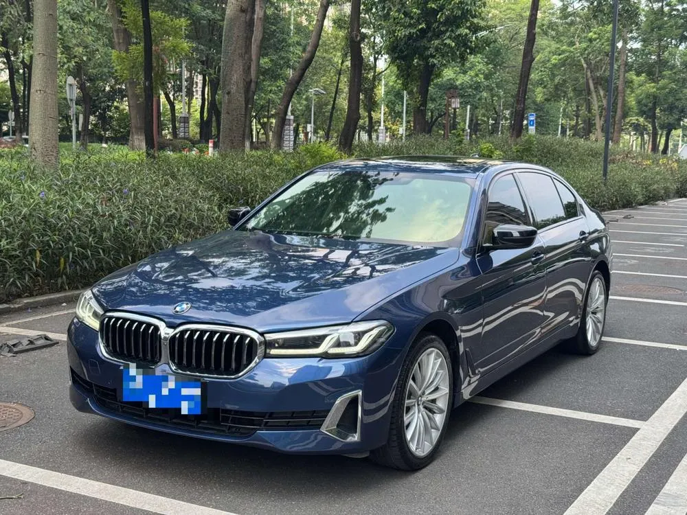 BMW 5-Series, 2020