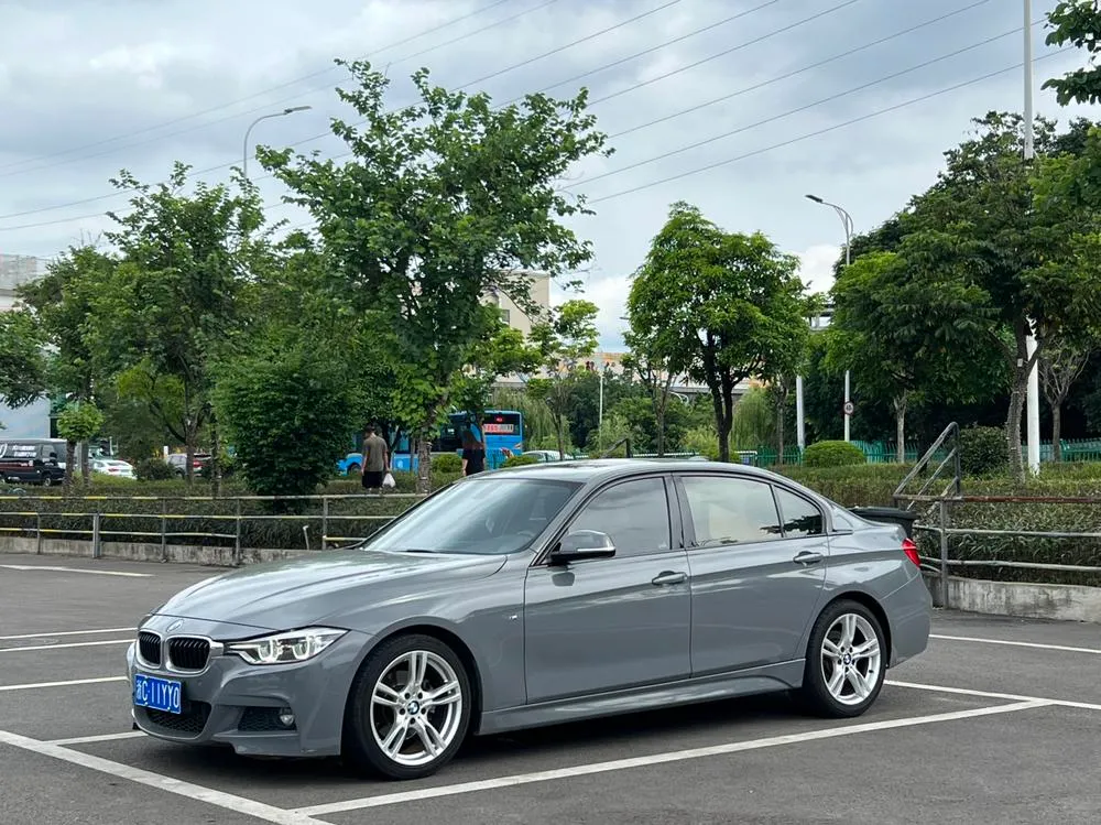BMW 3-Series 320Li M Sport Version, 2017 — фото 1
