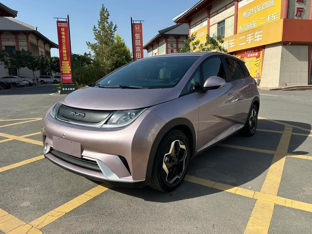 BYD Dolphin, 2021